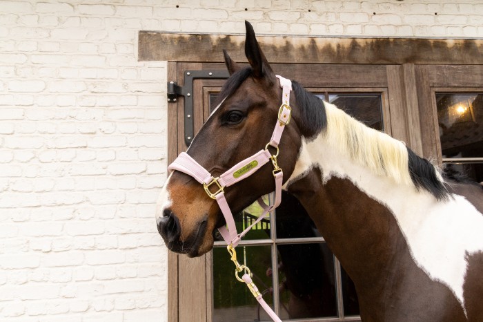 Kentucky kantar Velvet - Soft Rose