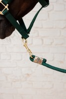 Kentucky uwiąz Basic - Pine Green