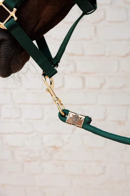 Kentucky uwiąz Basic - Pine Green