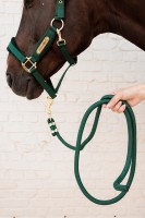 Kentucky uwiąz Basic - Pine Green