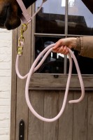 Kentucky uwiąz Basic - Soft Rose