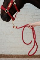 Kentucky uwiąz Basic - Red