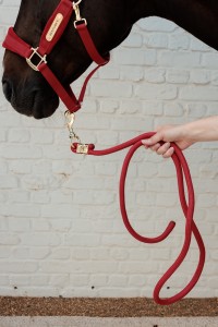 Kentucky uwiąz Basic - Red