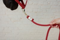 Kentucky uwiąz Basic - Red