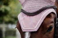 Kentucky nauszniki Wellington Velvet - Soft Rose