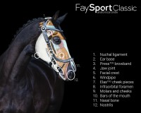 PresTeq ogłowie FaySport Classic - Brązowe