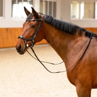 PresTeq ogłowie FaySport Classic - Czarne