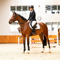 PresTeq ogłowie FaySport Classic - Czarne