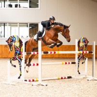 PresTeq ogłowie FaySport Classic - Czarne