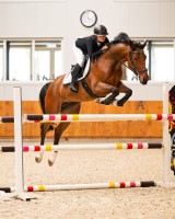 PresTeq ogłowie FaySport Classic - Czarne