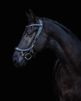 PresTeq ogłowie FaySport Classic - Czarne