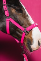 Eskadron kantar Softshell Double Pin Dynamic - Lipstick