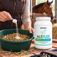 AleFlex – kolagen, glukozamina, MSM, chondroityna i kwas hialuronowy dla koni, 2000 g