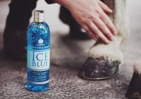 Carr & Day & Martin Ice Blue Żel chłodzący 500 ml