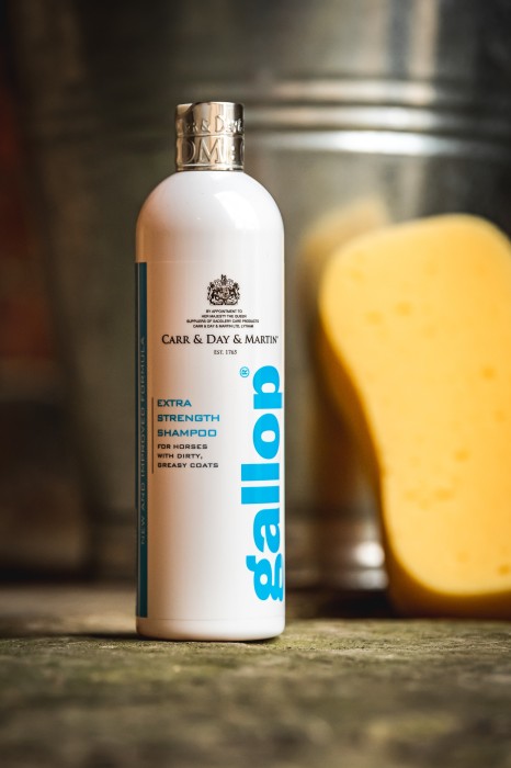 Carr & Day & Martin Szampon pielęgnacyjny Gallop Extra Strenght Shampoo 500 ml