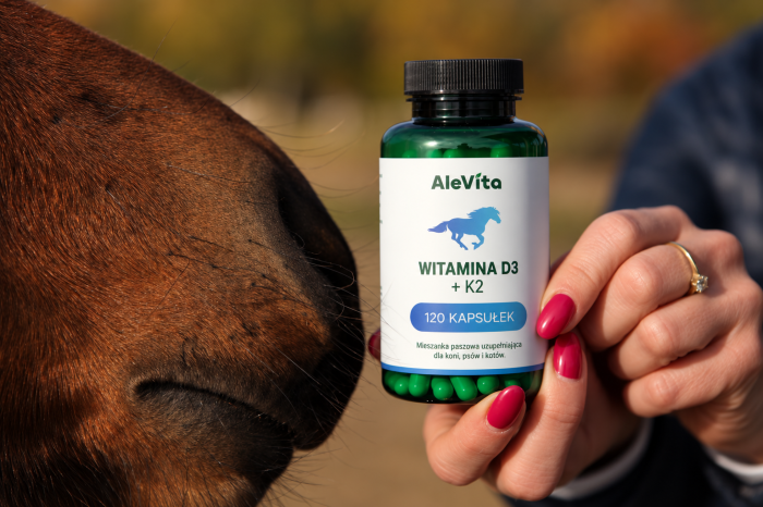 Alevita Witamina K2 D3 120 kapsułek
